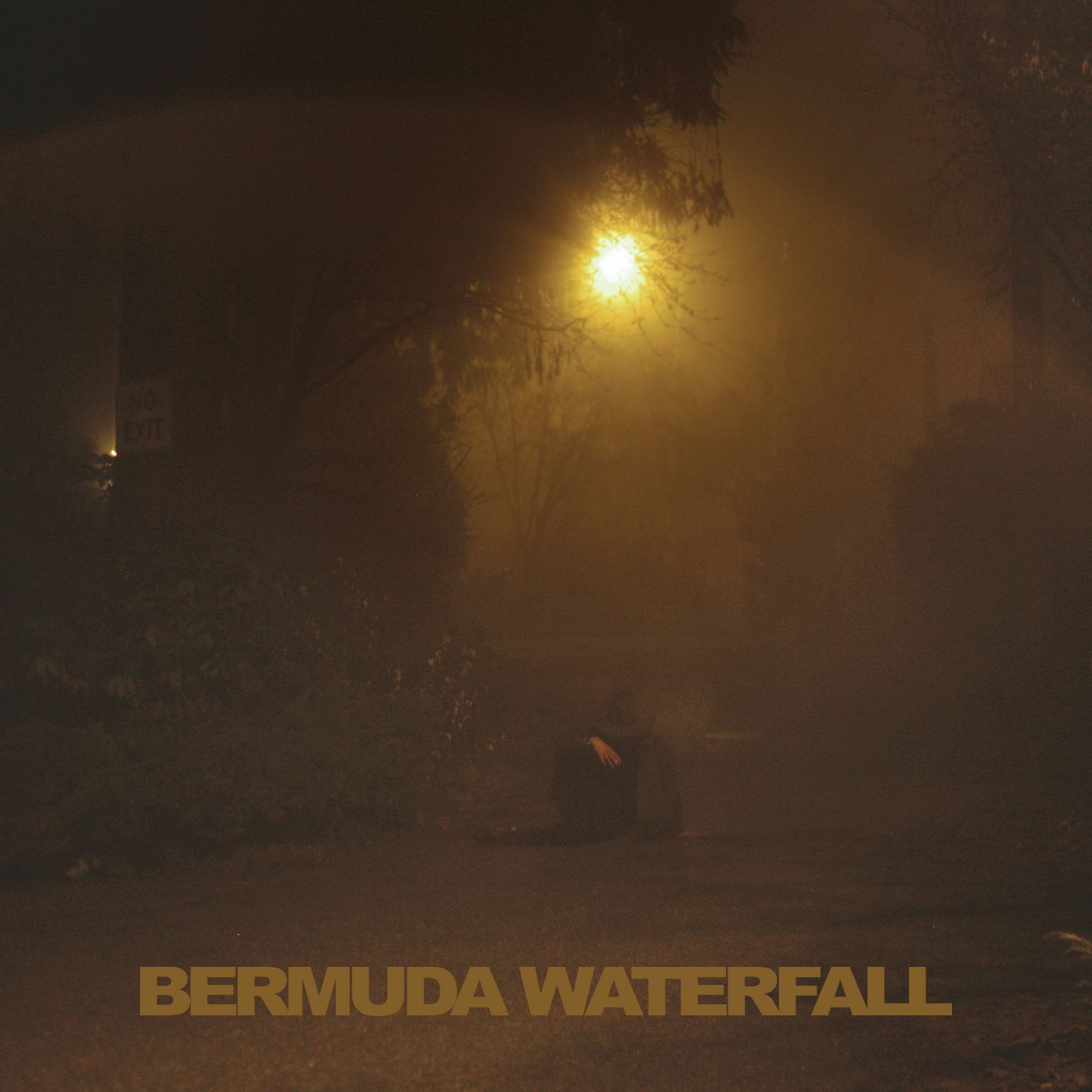 Bermuda Waterfall [Lp]