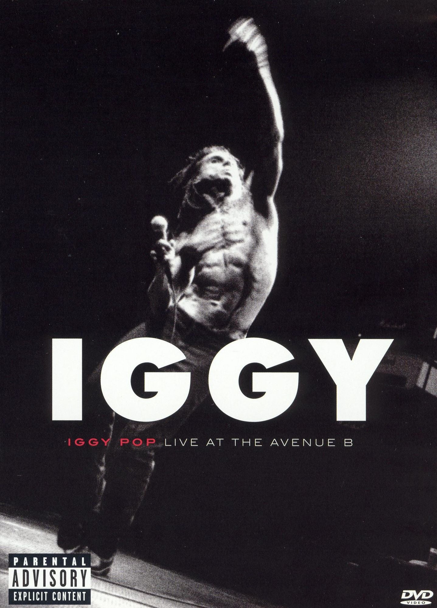 Iggy Pop: Live at the Avenue B