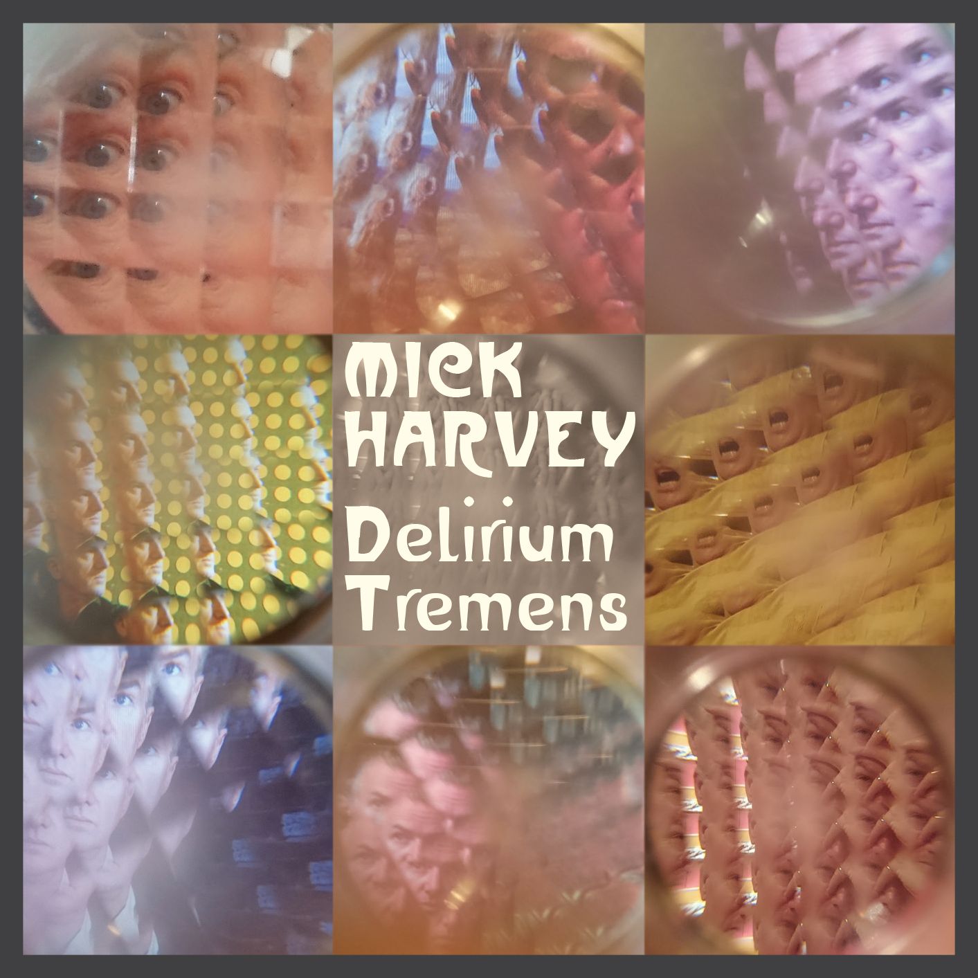 Delirium Tremens [Lp]