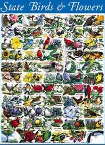 State Birds & Flowers puzzle