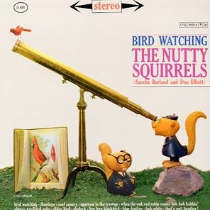 Bird Watching