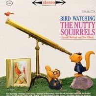 Bird Watching