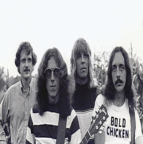 Bold Chicken