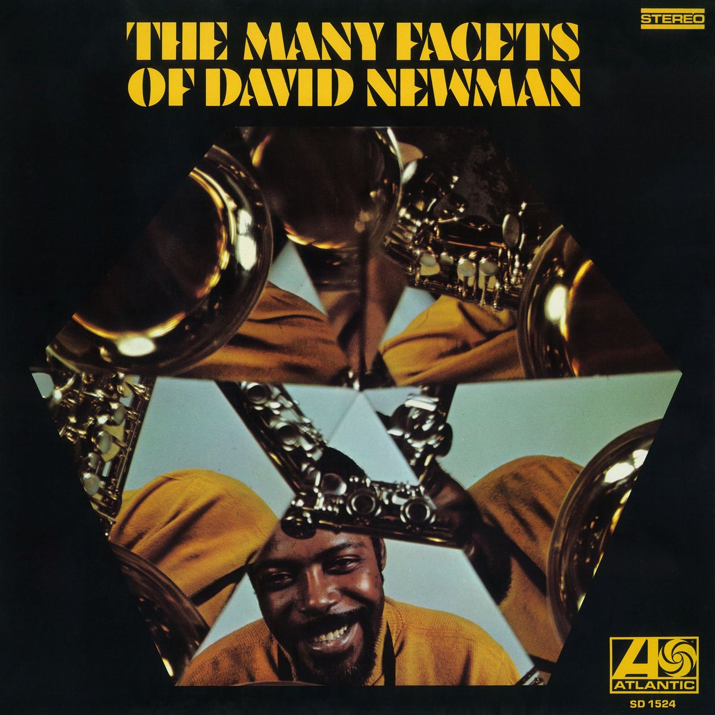 The Many Facets Of David Newman