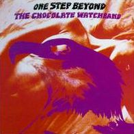 One Step Beyond (Chocolate Watch Band)