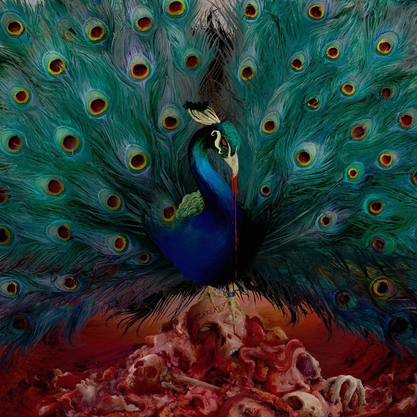 Sorceress (Bodc) (Dlx) (Ltd)