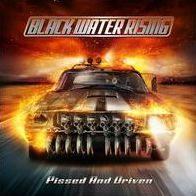Pissed And Driven