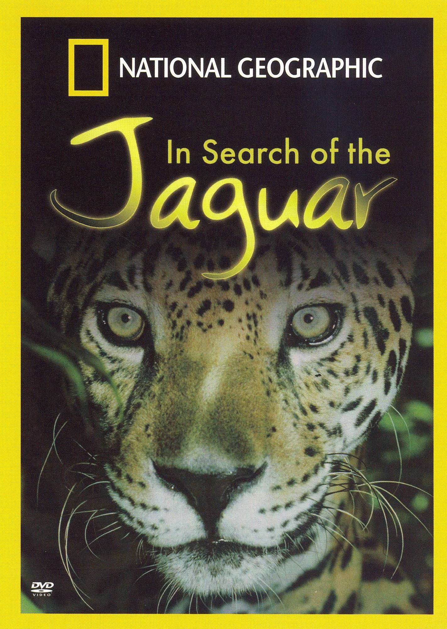 National Geographic: In Search of the Jaguar