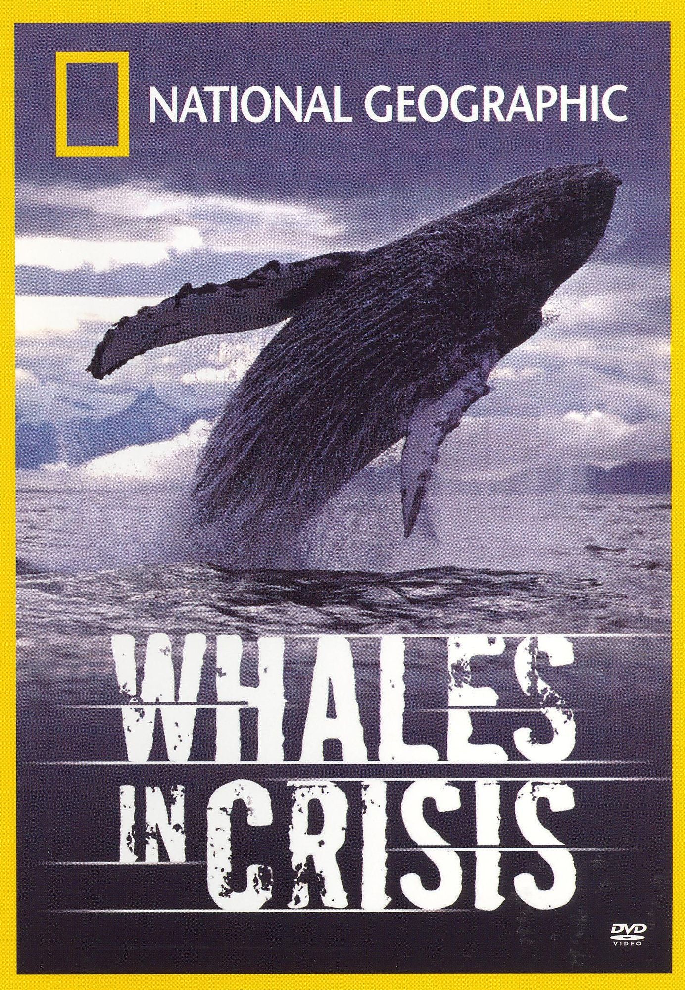 National Geographic: Whales in Crisis