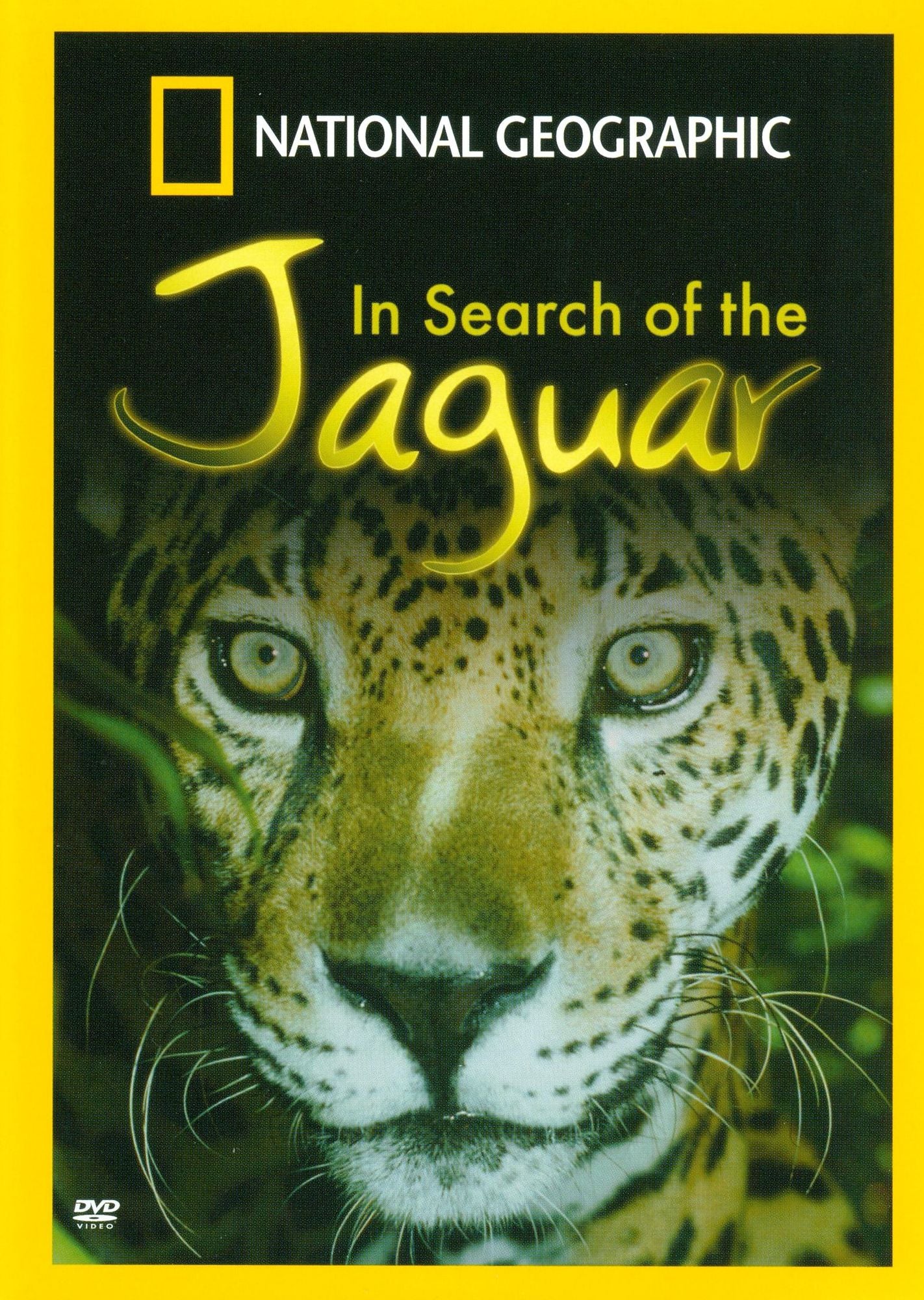 National Geographic: In Search of the Jaguar