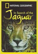 National Geographic: In Search of the Jaguar