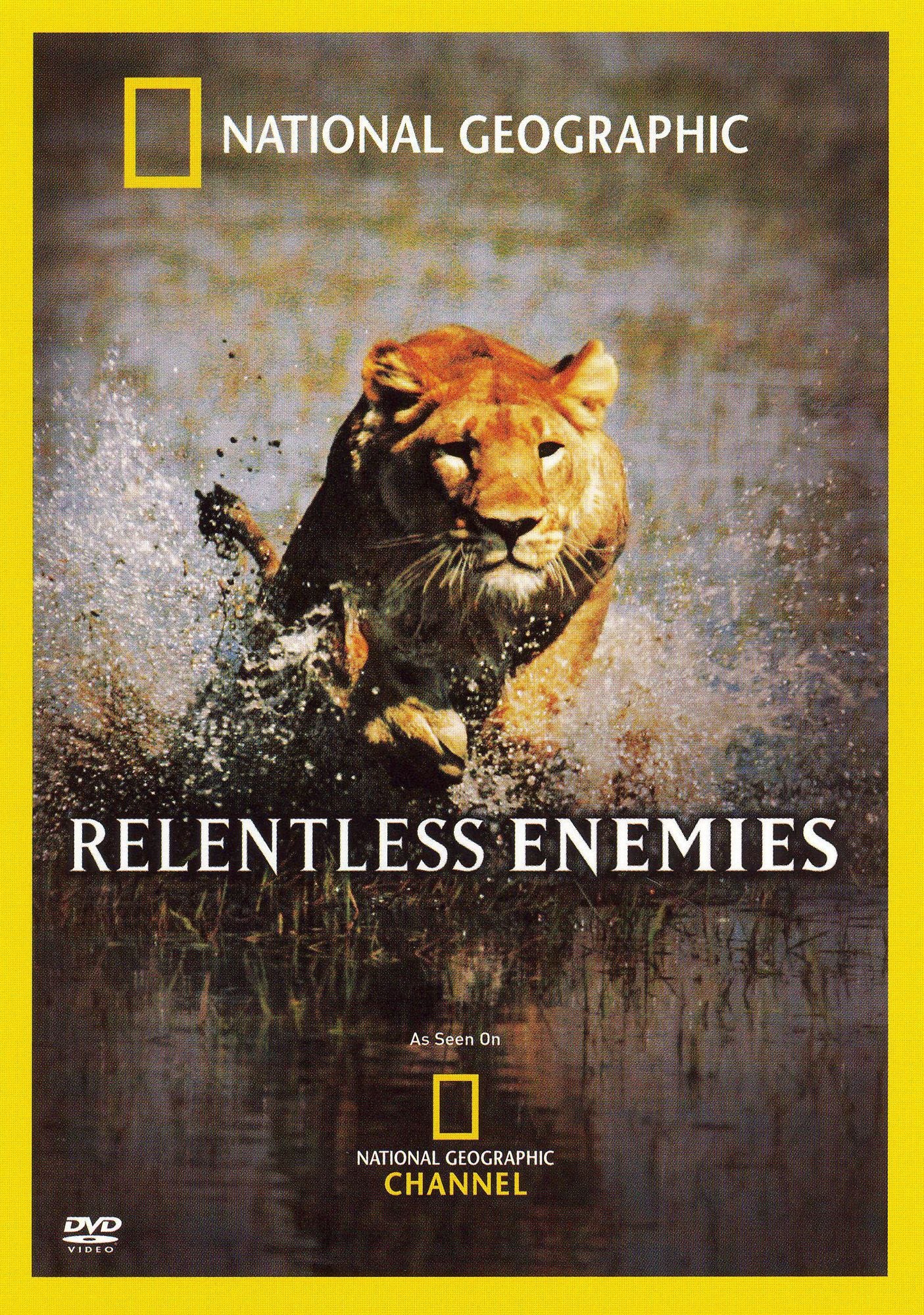Relentless Enemies