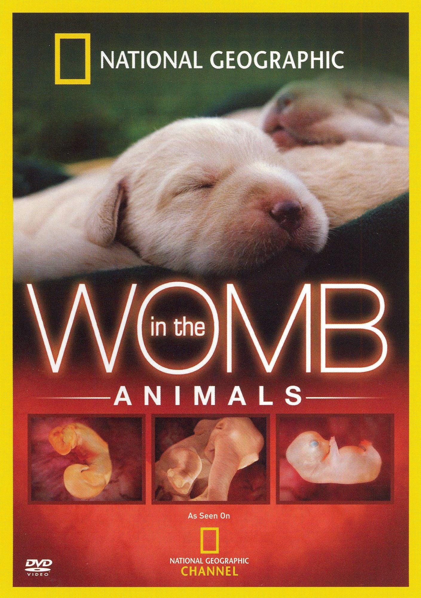 National Geographic: In the Womb - Animals