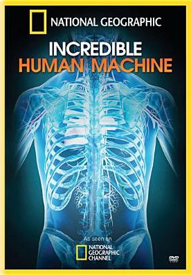 National Geographic: The Incredible Human Machine