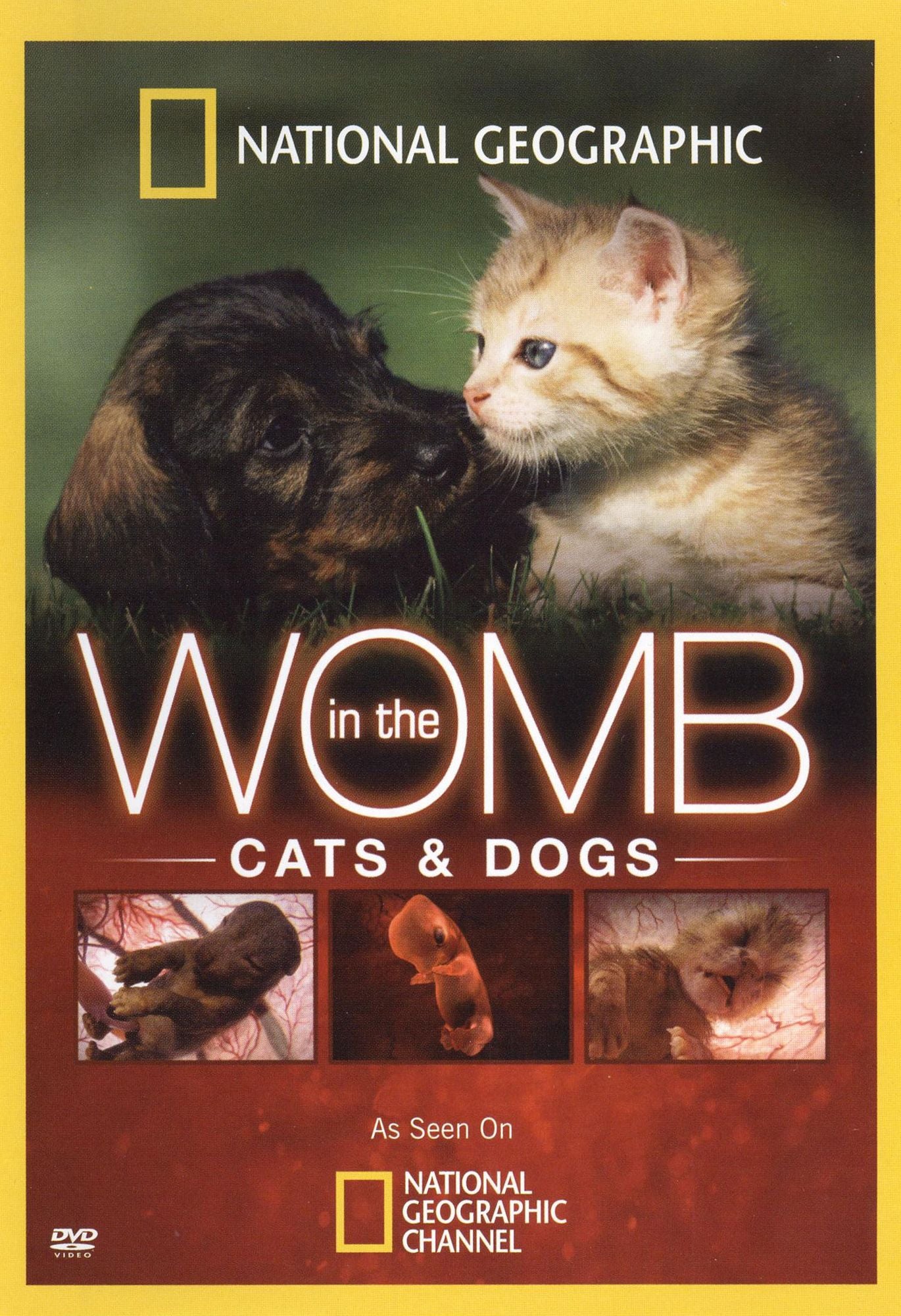 National Geographic: In the Womb - Cats & Dogs