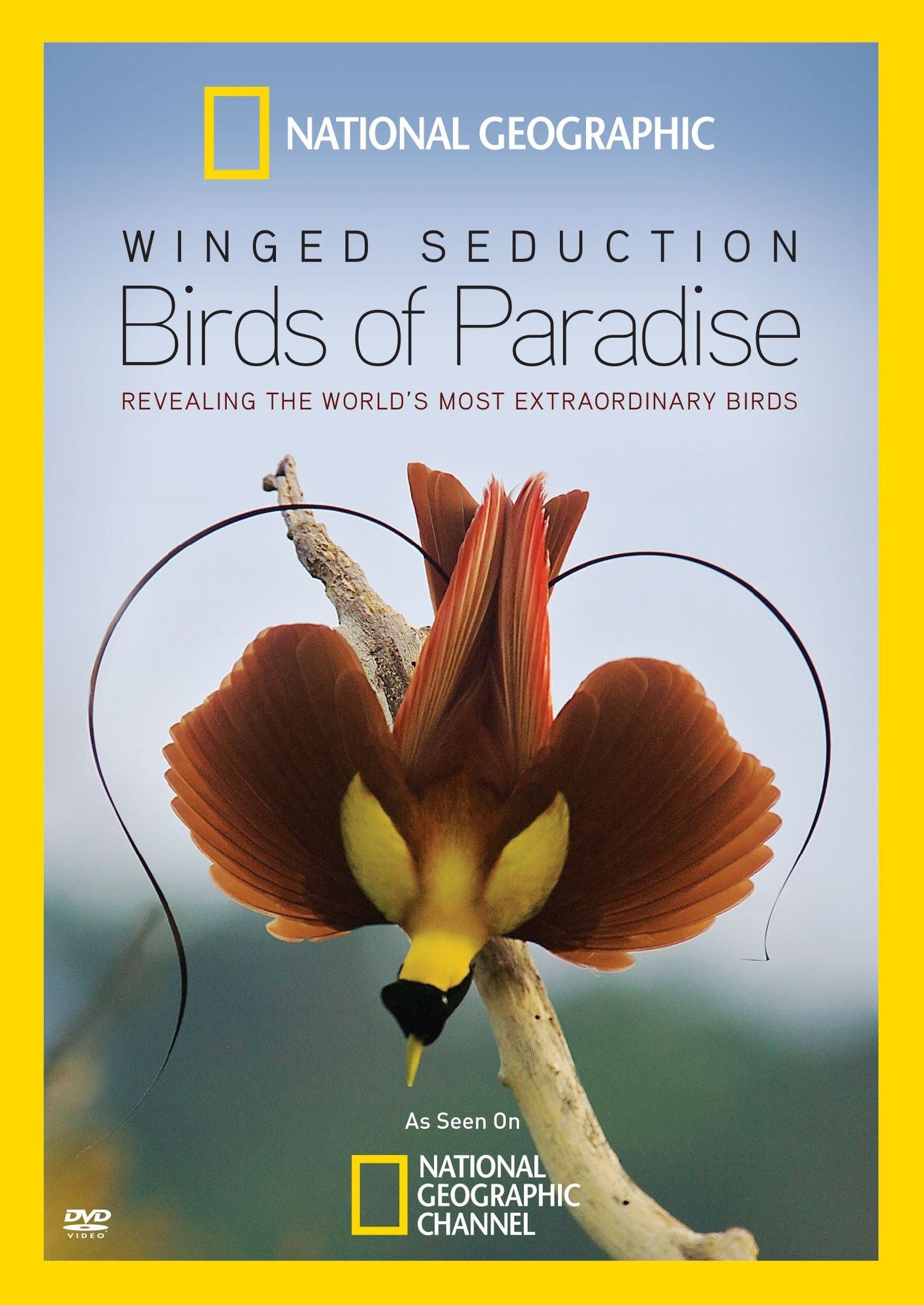National Geographic: Winged Seduction - Birds of Paradise