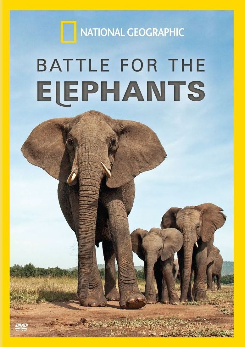 National Geographic: Battle for the Elephants
