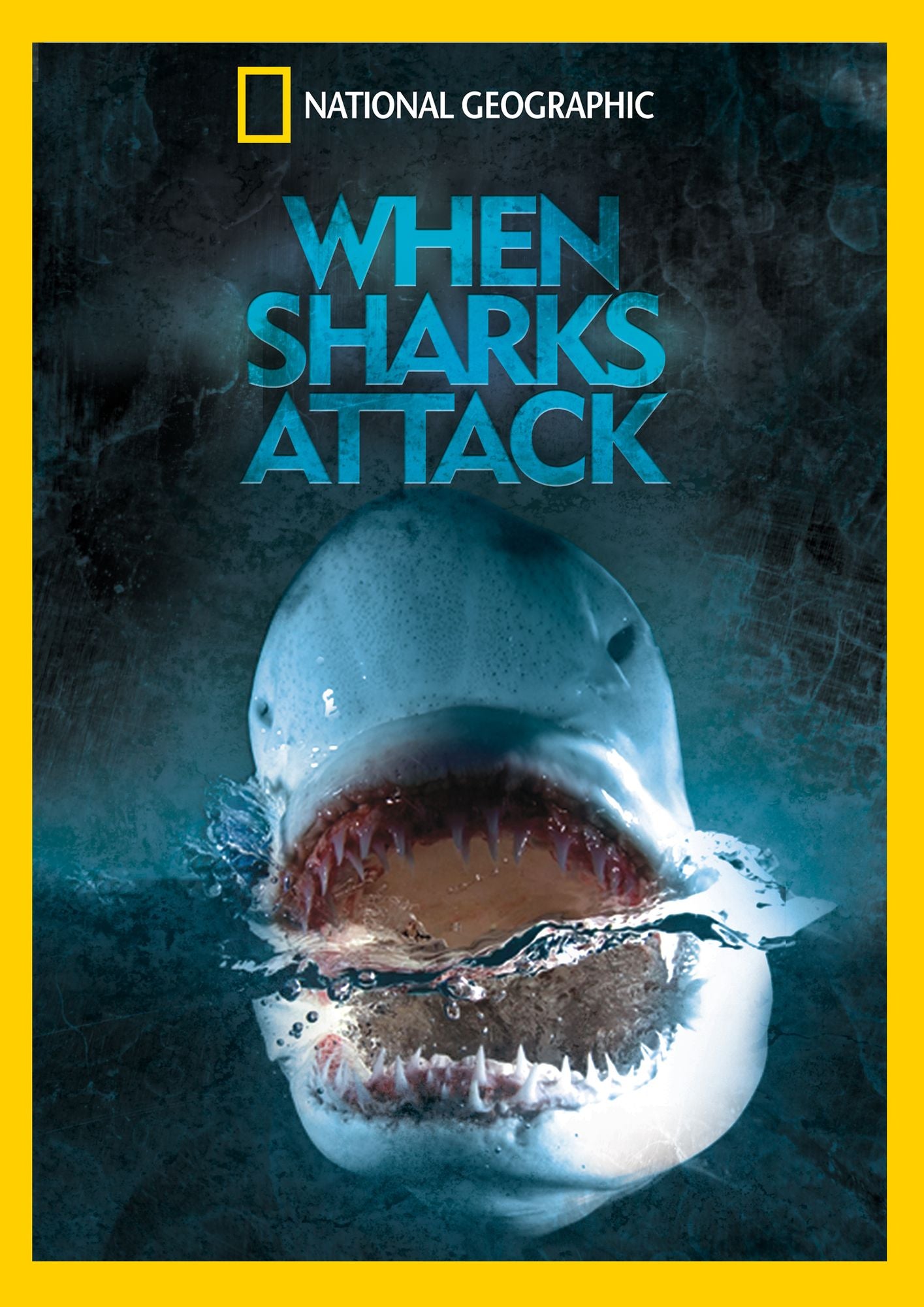 When Sharks Attack
