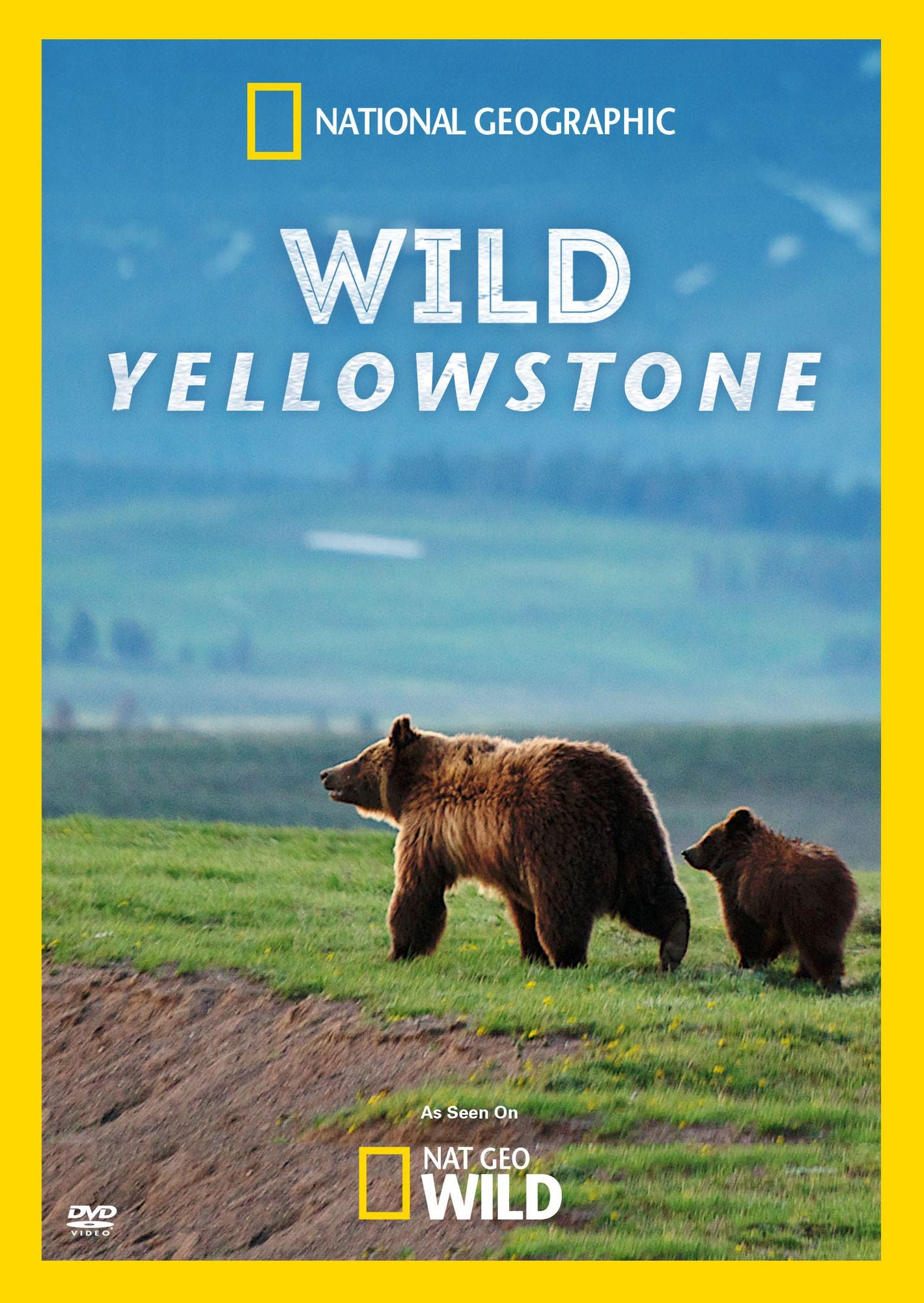 Wild Yellowstone