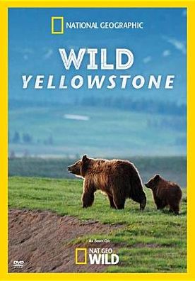 Wild Yellowstone
