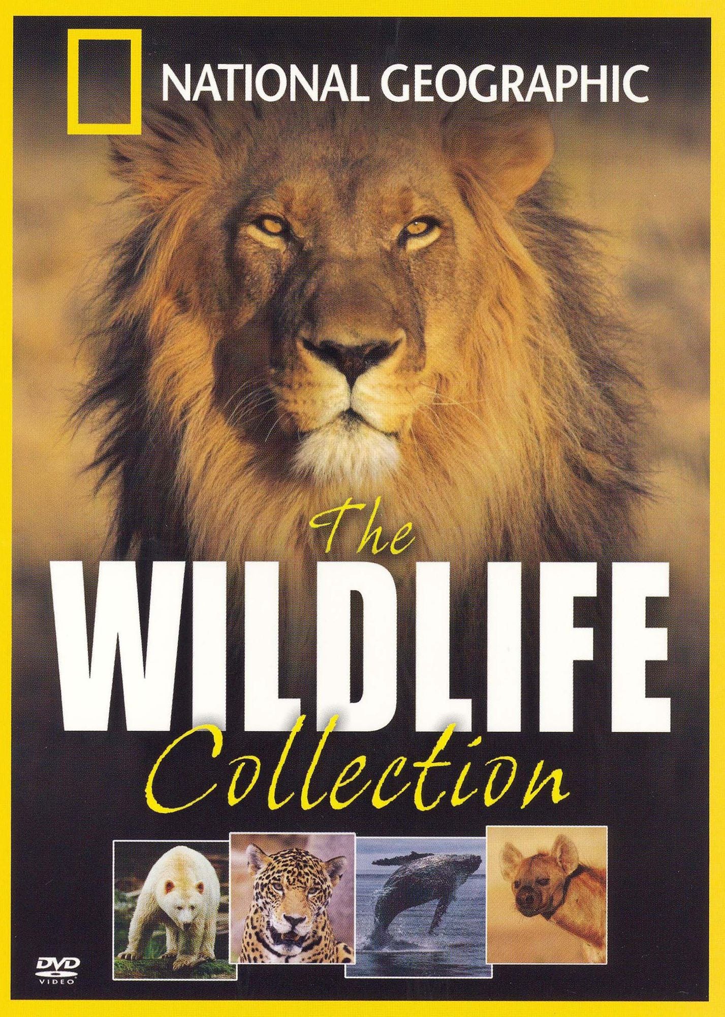 National Geographic: The Wildlife Collection [4 Discs]
