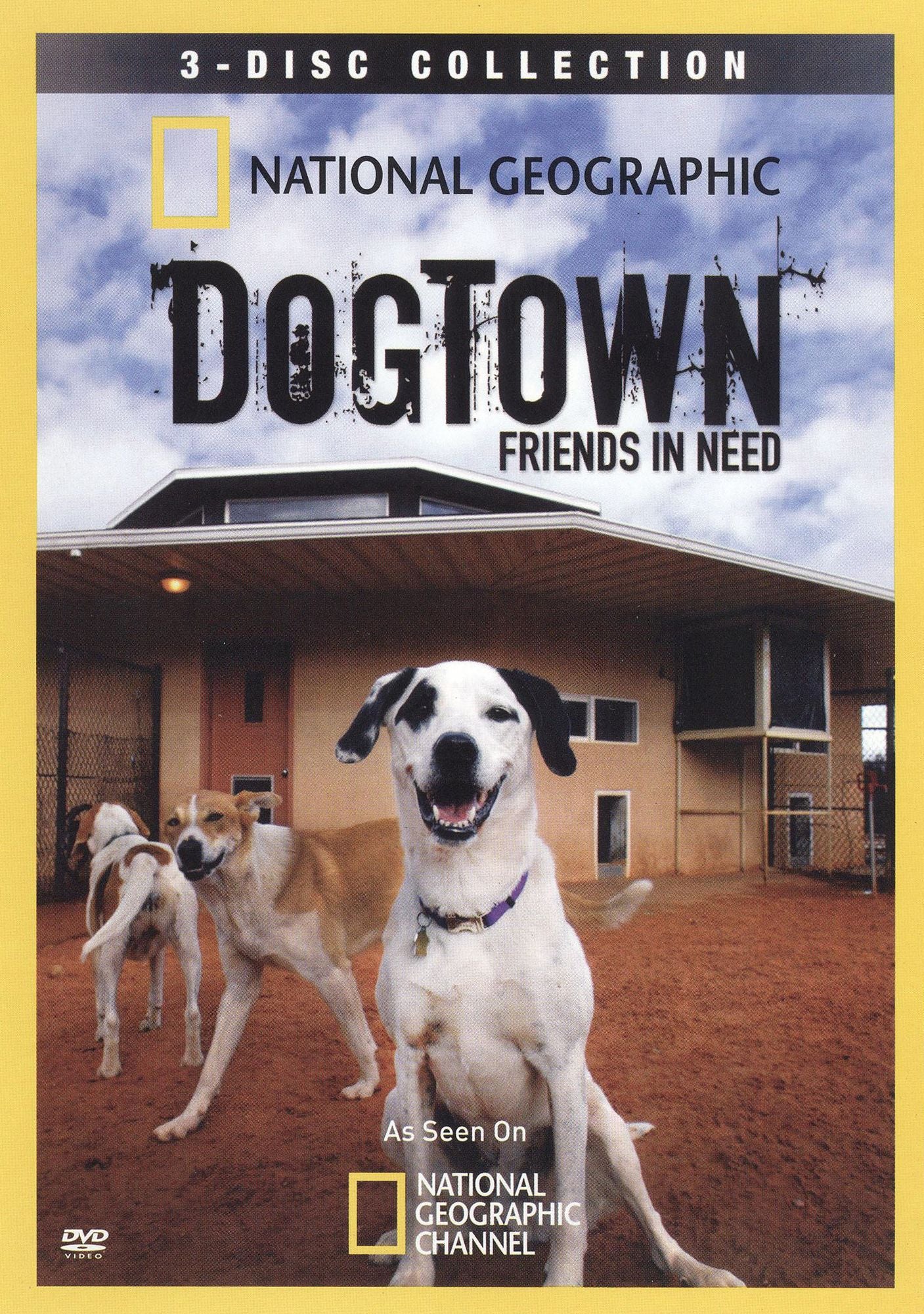 National Geographic: Dogtown - Friends in Need [3 Discs]