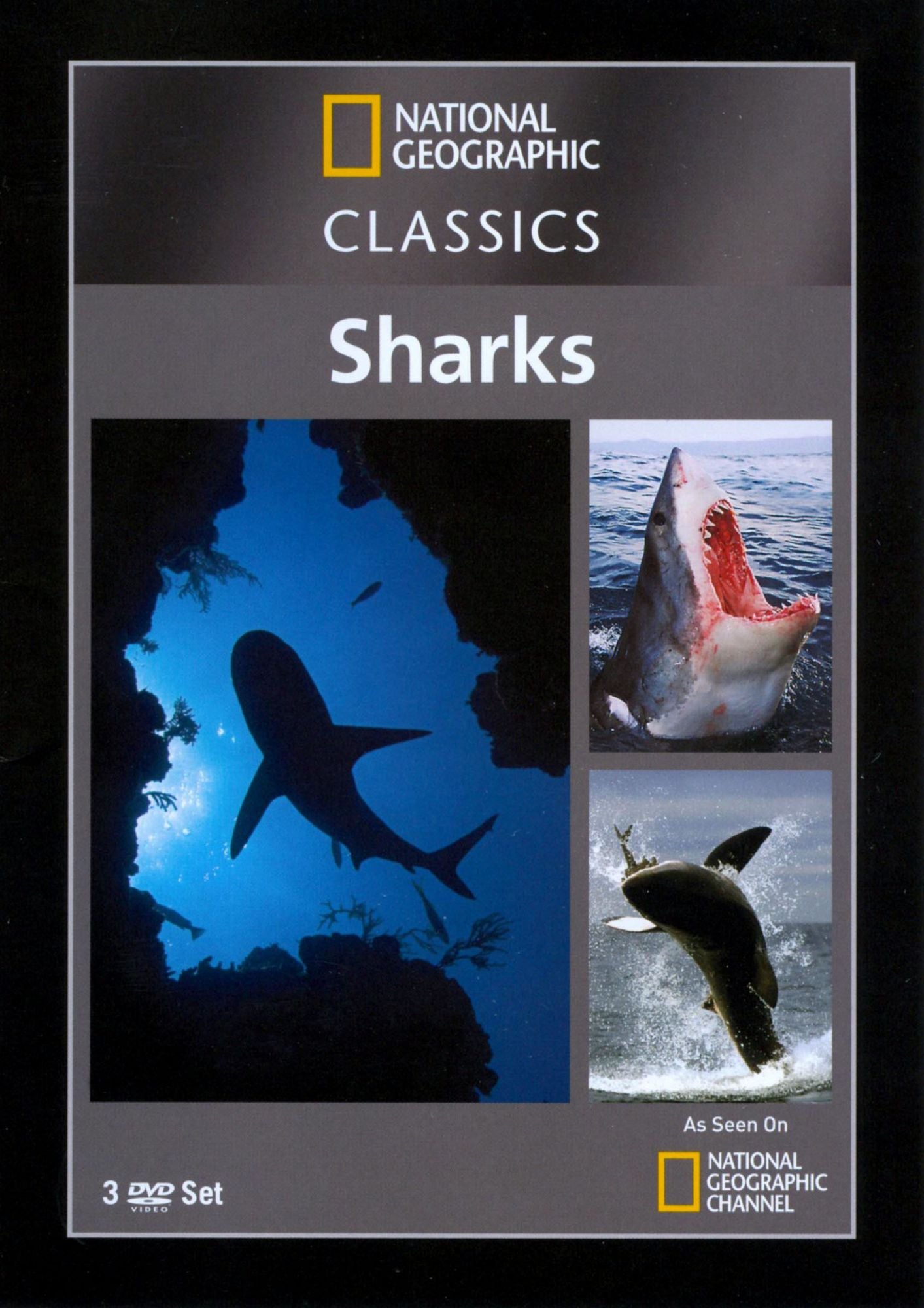 National Geographic Classics: Sharks [3 Discs]