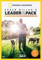 Cesar Millan: Leader of the Pack [3 Discs]