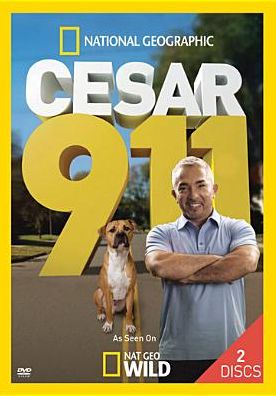 CESAR 911: SEASON 1 / (2PC WS)