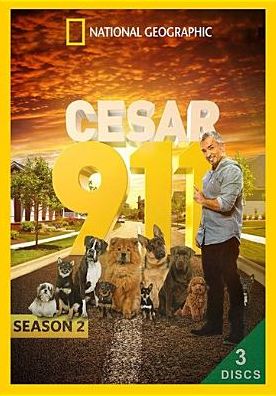 CESAR 911: SEASON 2 / (3PC WS)