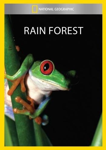 National Geographic: Rain Forest