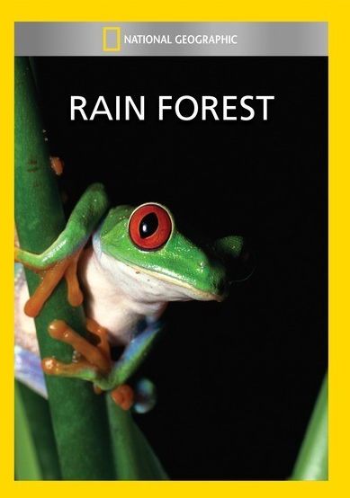 National Geographic: Rain Forest