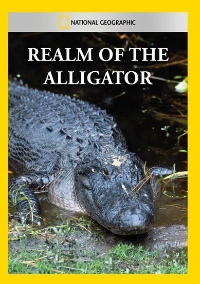 National Geographic: Realm Of The Alligator