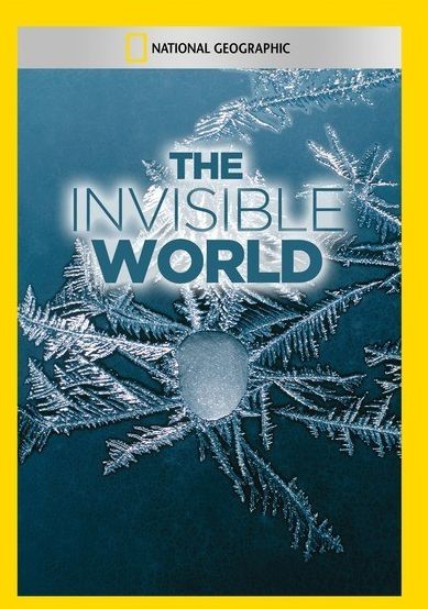 The Invisible World