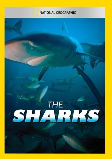 National Geographic: The Sharks