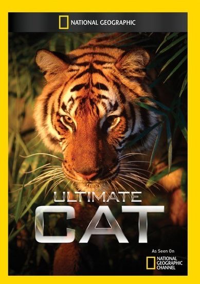Ultimate Cat