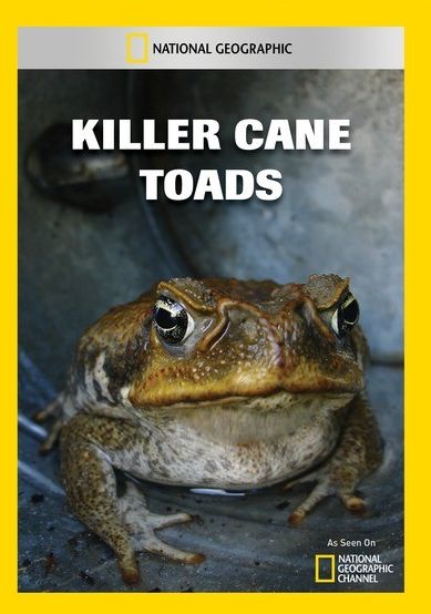 Killer Cane Toads
