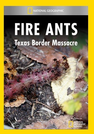 Fire Ants: Texas Border Massacre
