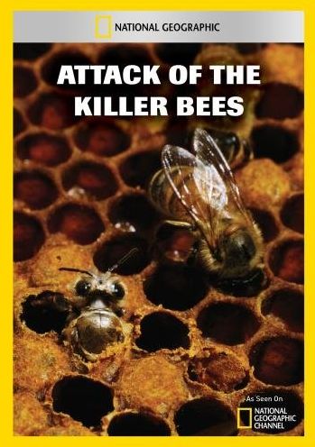 Attack of the Killer Bees