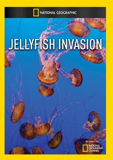 Jellyfish Invasion