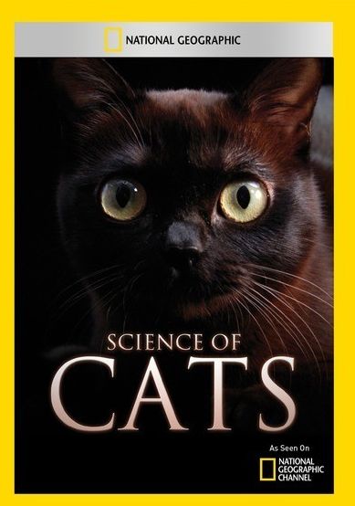 Science of Cats