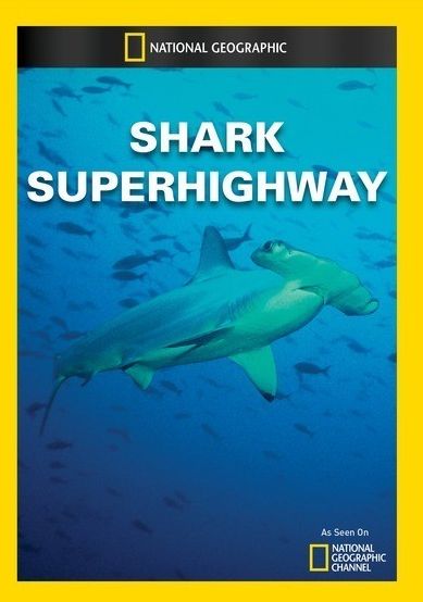Shark Superhighway