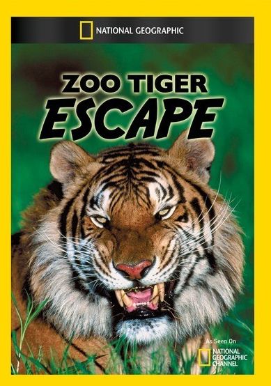 Zoo Tiger Escape