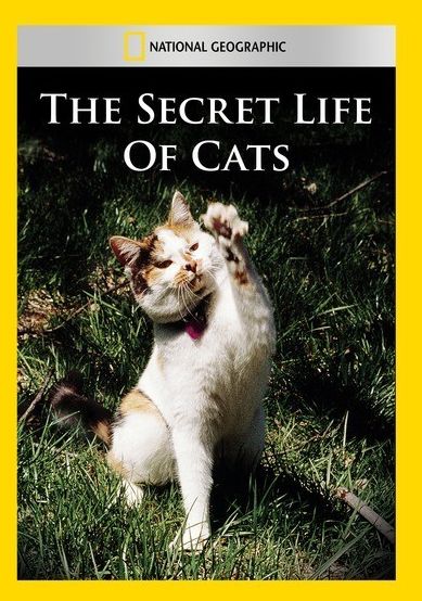 National Geographic: The Secret Life of Cats