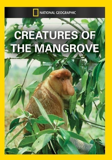 National Geographic: Creatures of the Mangrove