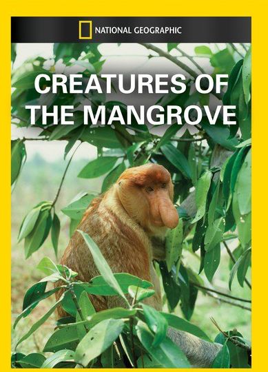 National Geographic: Creatures of the Mangrove