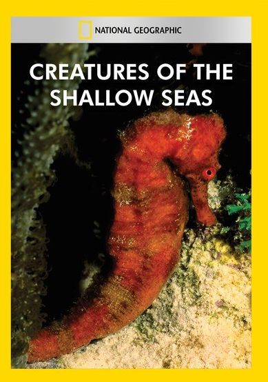 Creatures of the Shallow Seas