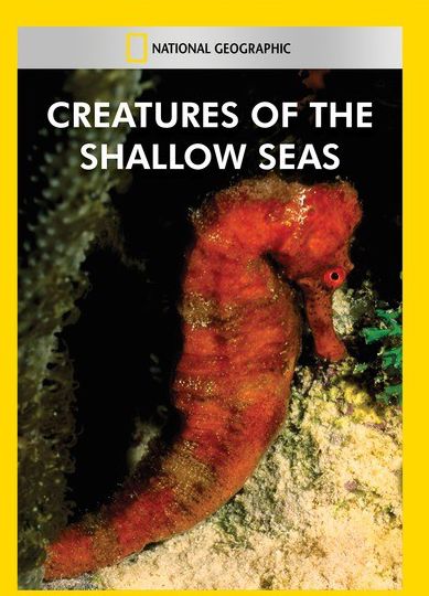 Creatures of the Shallow Seas