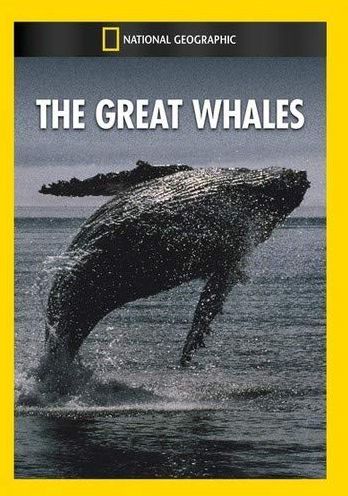 The Great Whales