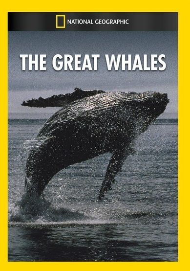 The Great Whales